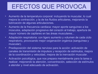 EFECTOS QUE PROVOCA Aumento de la temperatura corporal: incluyendo la muscular, lo cual mejora la contracción, y la de los fluidos articulares, mejorando la lubricación de algunas articulaciones. Aumento de la frecuencia cardiaca: mayor aporte sanguíneo a los músculos, adaptación progresiva del corazón al trabajo, apertura de mayor número de capilares en las áreas musculares... Adaptación respiratoria: con ligero aumento y volumen de cada ciclo respiratorio, provocando mejor oxigenación orgánica (sanguínea y muscular). Predisposición del sistema nervioso para la acción: activación de canales de transmisión de impulsos y recepción de estímulos, mejora de la coordinación y velocidad, mejora de la inervación muscular. Activación psicológica, que nos prepara mentalmente para la tarea a realizar, mejorando la atención, concentración, selección de estímulos a atender y nivel adecuado de activación. 