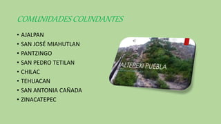 COMUNIDADES COLINDANTES
• AJALPAN
• SAN JOSÉ MIAHUTLAN
• PANTZINGO
• SAN PEDRO TETILAN
• CHILAC
• TEHUACAN
• SAN ANTONIA CAÑADA
• ZINACATEPEC
 