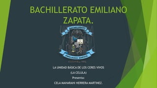 BACHILLERATO EMILIANO
ZAPATA.
LA UNIDAD BÁSICA DE LOS CERES VIVOS
(LA CELULA)
Presenta:
CELA MAHARAHI HERRERA MARTINEZ.
 