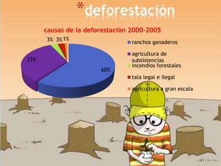 *deforestación
60%
33%
3% 3%1%
causas de la deforestación 2000-2005
ranchos ganaderos
agricultura de
subsistencias
incendios forestales
tala legal e ilegal
agricultura a gran escala
 