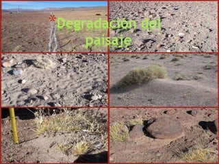 *Degradación del
paisaje
 