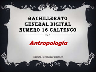 BACHILLERATO
GENERAL DIGITAL
NUMERO 16 CALTENCO

Antropología
Camila Hernández Jiménez

 
