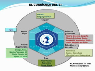 Lengua A1 
Segunda 
lengua 
Ciencias 
Experimentales 
Artes 
Individuos 
y Sociedades 
Matemáticas e 
Informática 
Literatura 
Lengua y Literatura 
Historia, Economía, Geografía, 
Filosofía, Psicología, Gestión 
Empresarial, Antropología, Política 
Global, Religiones del mundo. 
Inglés 
Biología, Física, 
Química, Tecnología del 
Diseño, Ciencias del 
Deporte y la Salud 
Artes Visuales, 
Teatro, Cine, 
Danza, Música 
Matemáticas 
Estudios Matemáticos 
Informática (como 6ta asignatura) 
NS, Nivel superior 240 horas 
NM, Nivel medio 150 horas 
EL CURRÍCULO DEL BI 
 