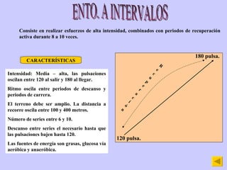 ENTO. A INTERVALOS Consiste en realizar esfuerzos de alta intensidad, combinados con periodos de recuperación activa durante 8 a 10 veces. CARACTERÍSTICAS Intensidad: Media – alta, las pulsaciones oscilan entre 120 al salir y 180 al llegar. Ritmo oscila entre periodos de descanso y periodos de carrera. El terreno debe ser amplio. La distancia a recorre oscila entre 100 y 400 metros. Número de series entre 6 y 10. Descanso entre series el necesario hasta que las pulsaciones bajen hasta 120. Las fuentes de energía son grasas, glucosa vía aeróbica y anaeróbica. 120 pulsa. 180 pulsa. Recuperación 