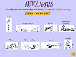 AUTOCARGAS Consiste en realizar ejercicios de fuerza de forma  individual  con el  peso de nuestro cuerpo EJEMPLO DE EJERCICIOS Bíceps Pectorales - tríceps Tríceps Abdominales superiores Oblicuos Glúteos - Lumbares Abductores Cuadriceps 