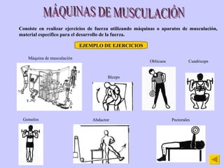 MÁQUINAS DE MUSCULACIÓN Consiste en realizar ejercicios de fuerza utilizando máquinas o aparatos de musculación, material específico para el desarrollo de la fuerza. EJEMPLO DE EJERCICIOS Máquina de musculación Bíceps Oblicuos Cuadriceps Gemelos Abductor Pectorales 