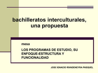 bachilleratos interculturales, una propuesta  mesa LOS PROGRAMAS DE ESTUDIO, SU ENFOQUE-ESTRUCTURA Y FUNCIONALIDAD JOSÉ IGNACIO RIVADENEYRA PASQUEL 