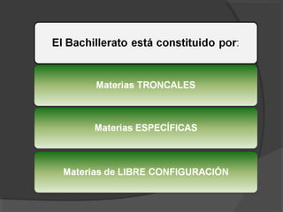 Bachillerato y ramas conocimiento.