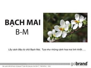 Lấy cách điệu từ chữ Bạch Mai, Tựa như những cánh hoa mai tinh khiết…..
 
