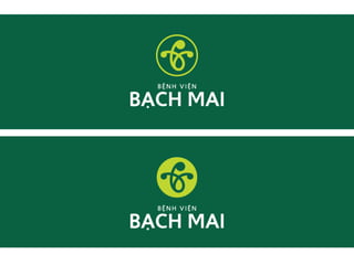 Bach mai concept