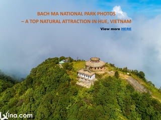 Bach Ma National Park Photos – A Top Natural Attraction In Hue, Vietnam ...