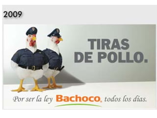 Bachoco