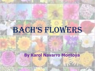 Bach’s Flowers

  By Karol Navarro Montoya
 