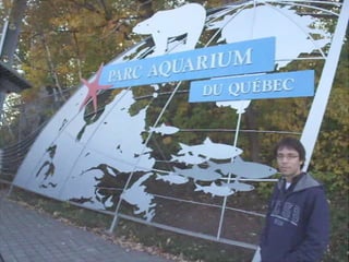 Module de réalité augmentée Modèle 3D animé : Dauphin à l’aquarium 