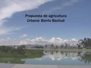 Propuesta de agricultura Urbana: Barrio Bachué 