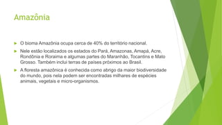 Amazônia
 O bioma Amazônia ocupa cerca de 40% do território nacional.
 Nele estão localizados os estados do Pará, Amazonas, Amapá, Acre,
Rondônia e Roraima e algumas partes do Maranhão, Tocantins e Mato
Grosso. Também inclui terras de países próximos ao Brasil.
 A floresta amazônica é conhecida como abrigo da maior biodiversidade
do mundo, pois nela podem ser encontradas milhares de espécies
animais, vegetais e micro-organismos.
 