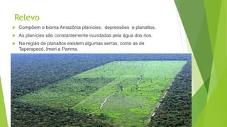 Relevo
 Compõem o bioma Amazônia planícies, depressões e planaltos.
 As planícies são constantemente inundadas pela água dos rios.
 Na região de planaltos existem algumas serras, como as de
Taperapecó, Imeri e Parima.
 