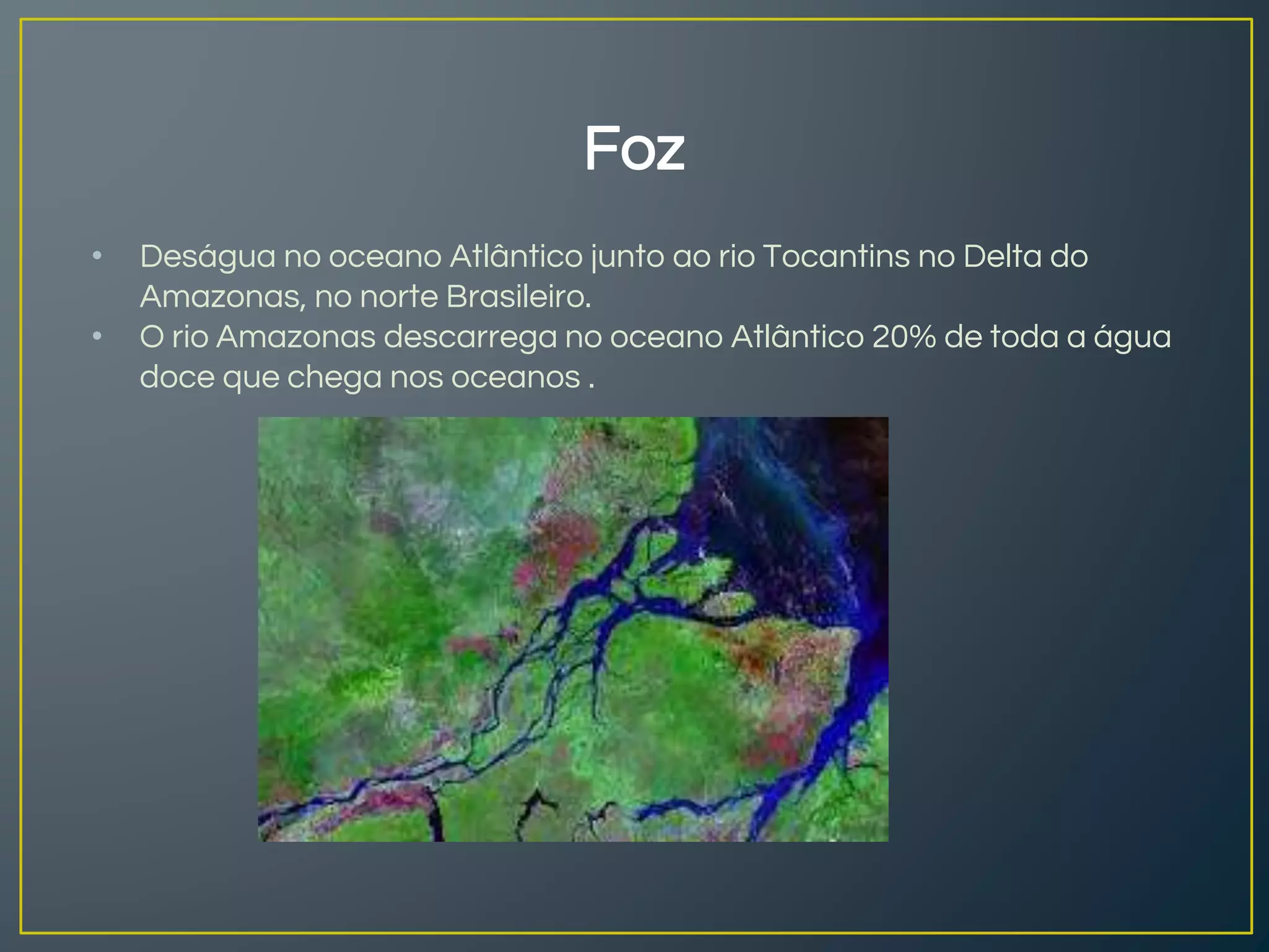 BACIA HIDROGRÁFICA DO RIO AMAZONAS | PPTX