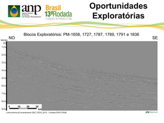 Oportunidades
Exploratórias
tempo
(s)
1,0
2,0
3,0
4,0
5,0
6,0
7,0
8,0
9,0
NO SE
Linha sísmica do levantamento 0257_PEP2_2015 – Cortesia SPECTRUM
0 10 20 30
km
Blocos Exploratórios: PM-1658, 1727, 1787, 1789, 1791 e 1836
 