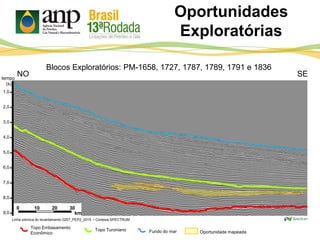 Oportunidades
Exploratórias
tempo
(s)
1,0
2,0
3,0
4,0
5,0
6,0
7,0
8,0
9,0
NO SE
Linha sísmica do levantamento 0257_PEP2_2015 – Cortesia SPECTRUM
0 10 20 30
km
Topo Turoniano Fundo do mar Oportunidade mapeada
Topo Embasamento
Econômico
Blocos Exploratórios: PM-1658, 1727, 1787, 1789, 1791 e 1836
 