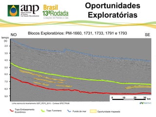 Oportunidades
Exploratórias
2,0
3,0
4,0
5,0
6,0
7,0
8,0
9,0
tempo
(s)
NO
Linha sísmica do levantamento 0257_PEP2_2015 – Cortesia SPECTRUM
0 10 20 30
km
Blocos Exploratórios: PM-1660, 1731, 1733, 1791 e 1793
Topo Turoniano Fundo do mar Oportunidade mapeada
Topo Embasamento
Econômico
SE
 