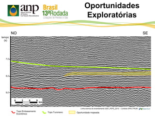 Oportunidades
Exploratórias
7,0
8,0
9,0
tempo
(s)
NO SE
0 3 6 9
km
Oportunidade mapeadaTopo TuronianoTopo Embasamento
Econômico
Linha sísmica do levantamento 0257_PEP2_2015 – Cortesia SPECTRUM
 