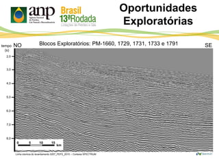 Oportunidades
Exploratórias
3,0
4,0
5,0
tempo
(s)
NO SE
6,0
7,0
8,0
0 5 10 15
km
2,0
Linha sísmica do levantamento 0257_PEP2_2015 – Cortesia SPECTRUM
Blocos Exploratórios: PM-1660, 1729, 1731, 1733 e 1791
 