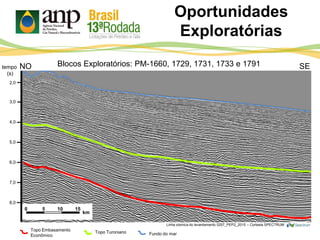 Oportunidades
Exploratórias
3,0
4,0
5,0
tempo
(s)
NO SE
6,0
7,0
8,0
0 5 10 15
km
2,0
Blocos Exploratórios: PM-1660, 1729, 1731, 1733 e 1791
Topo Turoniano Fundo do mar
Topo Embasamento
Econômico
Linha sísmica do levantamento 0257_PEP2_2015 – Cortesia SPECTRUM
 