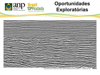 Oportunidades
Exploratórias
Linha sísmica do levantamento 0022_GREATERBRASILSPAN_SUBSET6 – Cortesia ION GXT
 