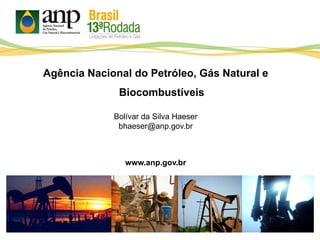 100 100
Agência Nacional do Petróleo, Gás Natural e
Biocombustíveis
Bolívar da Silva Haeser
bhaeser@anp.gov.br
www.anp.gov.br
 