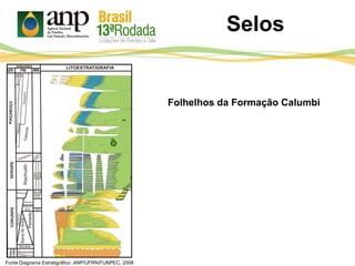Fonte Diagrama Estratigráfico ANP/UFRN/FUNPEC, 2008
Folhelhos da Formação Calumbi
Selos
 