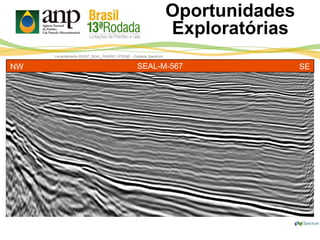 Levantamento R0257_SEAL_PHASE1 (PSDM) - Cortesia Spectrum
Oportunidades
Exploratórias
SEAL-M-567NW SE
 