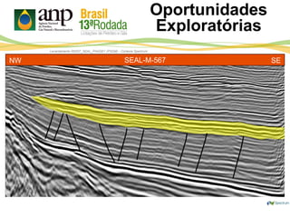 Levantamento R0257_SEAL_PHASE1 (PSDM) - Cortesia Spectrum
Oportunidades
Exploratórias
SEAL-M-567NW SE
 