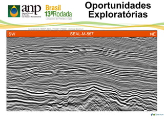 Levantamento R0257_SEAL_PHASE1 (PSDM) - Cortesia Spectrum
Oportunidades
Exploratórias
SEAL-M-567SW NE
 