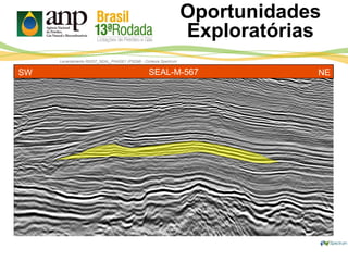 Levantamento R0257_SEAL_PHASE1 (PSDM) - Cortesia Spectrum
Oportunidades
Exploratórias
SEAL-M-567SW NE
 