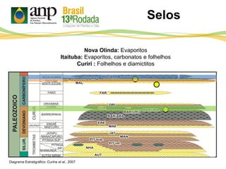 Selos
Diagrama Estratigráfico: Cunha et al., 2007
Nova Olinda: Evaporitos
Itaituba: Evaporitos, carbonatos e folhelhos
Curiri : Folhelhos e diamictitos
 