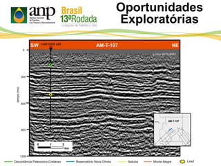 SW AM-T-107 NE
Oportunidades
Exploratórias
Itaituba Monte AlegreDiscordância Paleozoico-Cretáceo Reservatório Nova Olinda Lead
tempo(ms)
300
600
900
0
1200
0 1 2
km
Linha 0070-0067
1AM 0005 AM
AM-T-107
 