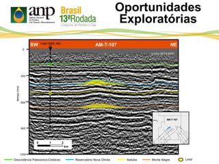 SW AM-T-107 NE
Oportunidades
Exploratórias
Itaituba Monte AlegreDiscordância Paleozoico-Cretáceo Reservatório Nova Olinda Lead
tempo(ms)
300
600
900
0
1200
0 1 2
km
1AM 0005 AM
Linha 0070-0067
AM-T-107
 