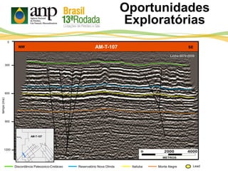 AM-T-107
Oportunidades
Exploratórias
300
600
tempo(ms)
900
0
1200
Itaituba Monte AlegreDiscordância Paleozoico-Cretáceo Reservatório Nova Olinda Lead
NW SE
AM-T-107
Linha 0070-0059
 