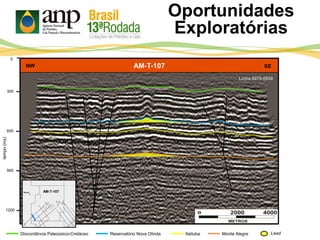 AM-T-107
Oportunidades
Exploratórias
300
600
tempo(ms)
900
0
1200
Itaituba Monte AlegreDiscordância Paleozoico-Cretáceo Reservatório Nova Olinda Lead
NW SE
AM-T-107
Linha 0070-0059
 