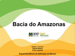 André L. Ferreira
Gabriel Bastos
Ariely Luparelli
Superintendência de Definição de Blocos
Bacia do Amazonas
 