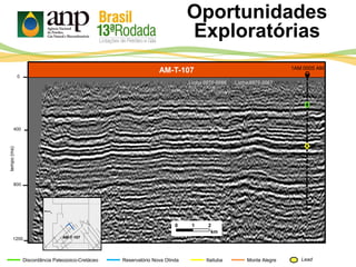 Oportunidades
Exploratórias
AM-T-107
Itaituba Monte Alegre
400
800
1200
0
Discordância Paleozoico-Cretáceo Reservatório Nova Olinda
0 1 2
km
Lead
tempo(ms)
Linha 0070-0067
1AM 0005 AM
Linha 0070-0066
AM-T-107
 