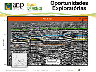 Oportunidades
Exploratórias
AM-T-107
Itaituba Monte Alegre
400
800
tempo(ms)
1200
0
Discordância Paleozoico-Cretáceo Reservatório Nova Olinda Lead
0 1 2
km
AM-T-107
Linha 0070-0067Linha 0070-0066
1AM 0005 AM
 