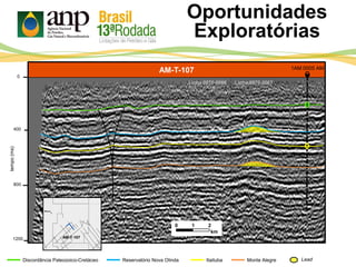 Oportunidades
Exploratórias
AM-T-107
Itaituba Monte Alegre
400
800
tempo(ms)
1200
0
Discordância Paleozoico-Cretáceo Reservatório Nova Olinda Lead
0 1 2
km
AM-T-107
Linha 0070-0067Linha 0070-0066
1AM 0005 AM
 