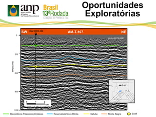 SW AM-T-107 NE
Oportunidades
Exploratórias
Itaituba Monte AlegreDiscordância Paleozoico-Cretáceo Reservatório Nova Olinda Lead
tempo(ms)
300
600
900
0
1200
0 1 2
km
1AM 0005 AM
Linha 0070-0067
AM-T-107
 