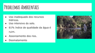 Problemas Ambientais
● Uso inadequado dos recursos
hídricos.
● Uso intensivo do solo.
● 61% índice de qualidade da água é
ruim.
● Assoreamento dos rios.
● Desmatamento
 