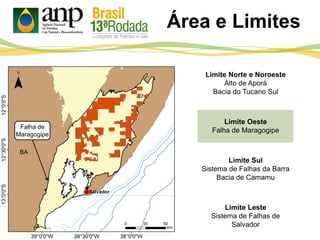 Área e Limites
Limite Norte e Noroeste
Alto de Aporá
Bacia do Tucano Sul
Limite Oeste
Falha de Maragogipe
Limite Sul
Sistema de Falhas da Barra
Bacia de Camamu
Limite Leste
Sistema de Falhas de
Salvador
Falha de
Maragogipe
 