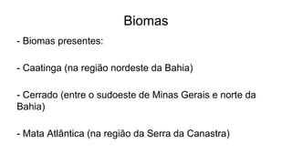 Biomas
- Biomas presentes:
- Caatinga (na região nordeste da Bahia)
- Cerrado (entre o sudoeste de Minas Gerais e norte da
Bahia)
- Mata Atlântica (na região da Serra da Canastra)
 