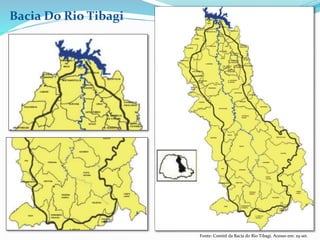 Bacia Do Rio Tibagi 
Fonte: Comitê da Bacia do Rio Tibagi. Acesso em: 29 set. 
2014 
 