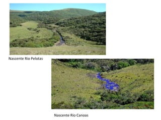 Nascente Rio Canoas Nascente Rio Pelotas 